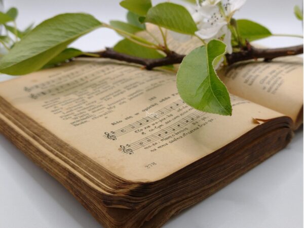 151m1 śpiewnik śpiewnik