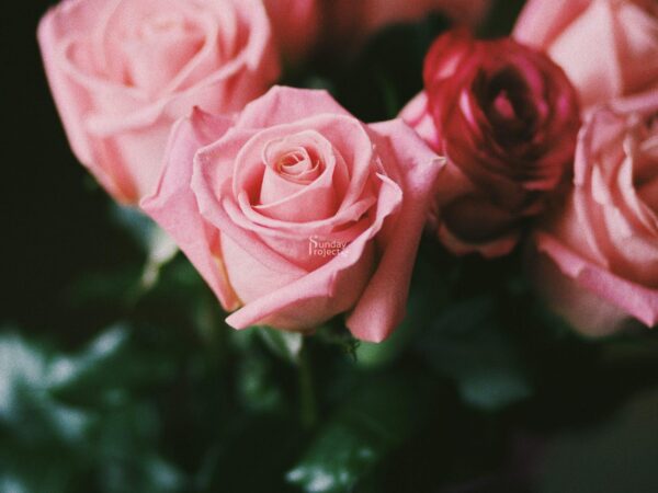 romantyczny bukiet oświadczynowy romantyczny bukiet