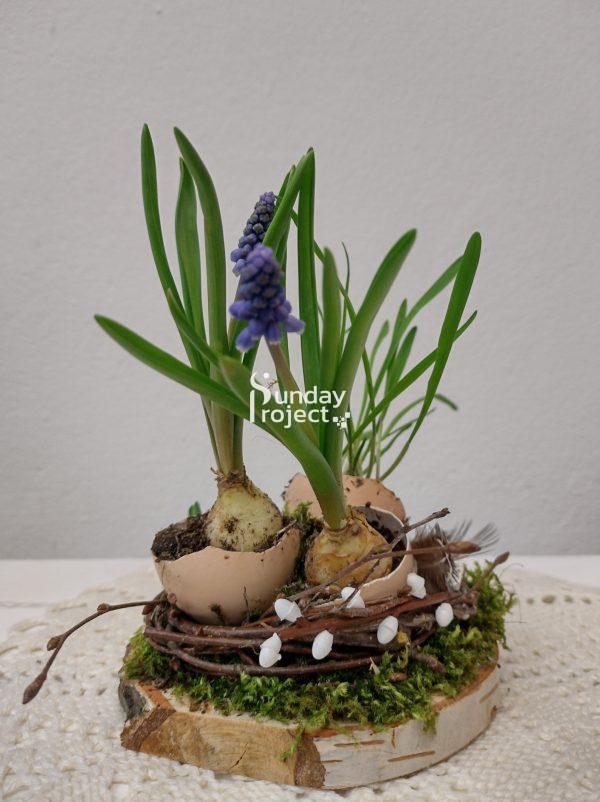 stroik szafirek 121m1 stroik z szafirkiem