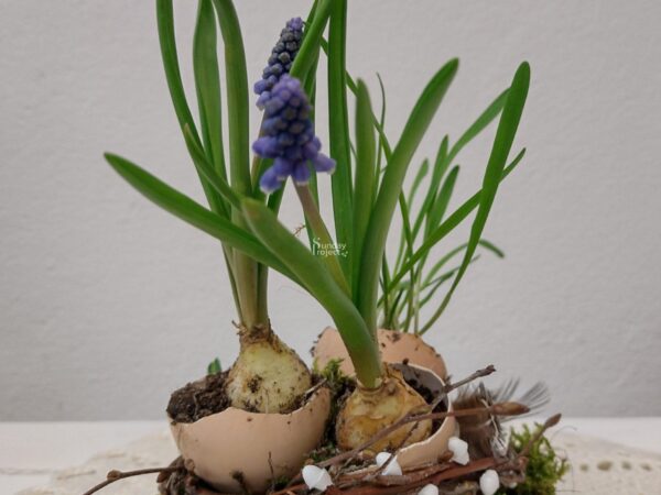 stroik szafirek 121m1 stroik z szafirkiem