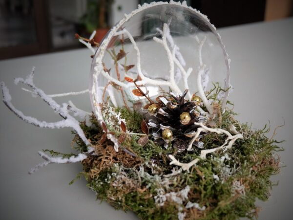 stroik z mchu stroik z mchu