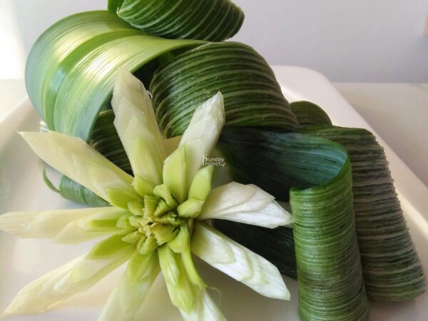 13kwiat z pora-2028 kwiat z pora