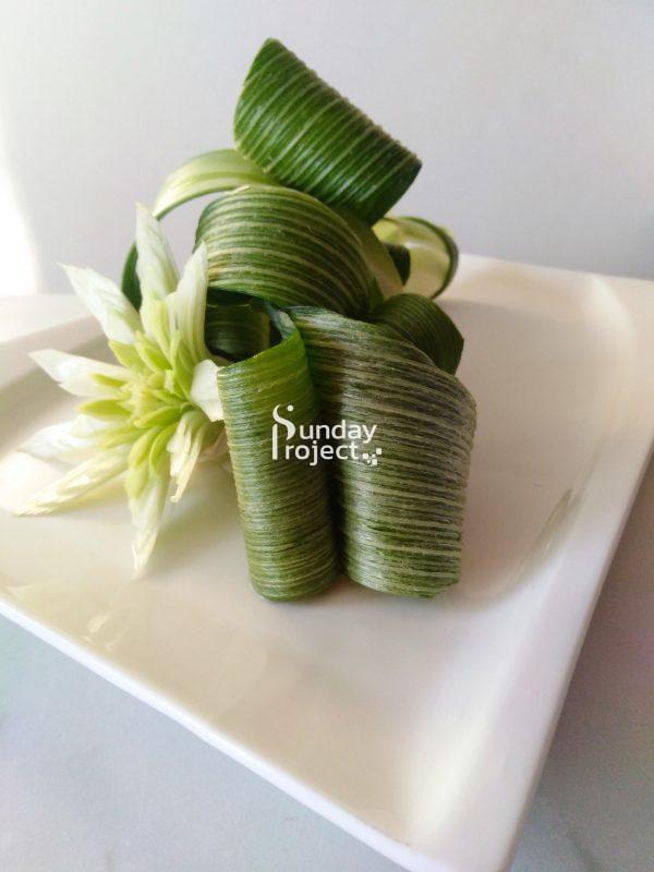 15 liście z pora-2028 liście z pora