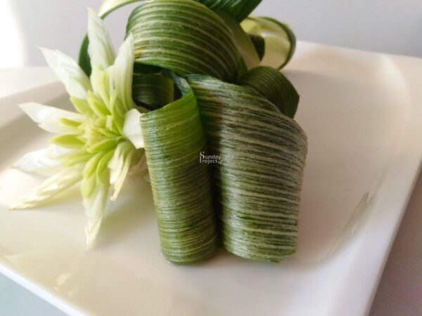 15 liście z pora-2028 liście z pora