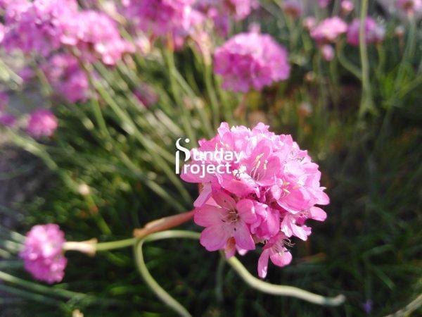 37zawciąg nadmorski m1 zawciąg nadmorski