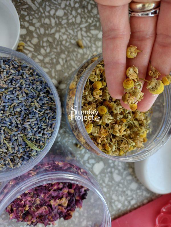 suszone zioła Suszone zioła - zdjęcie do pobrania