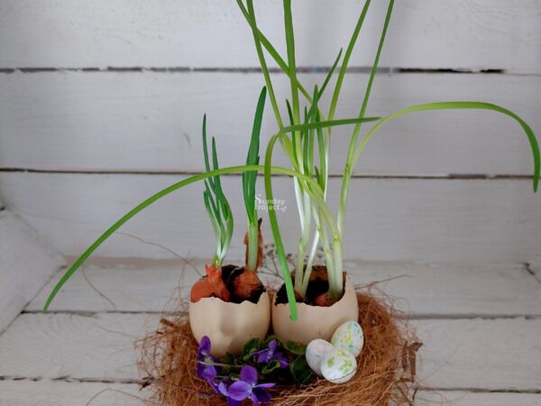 dekoracja wielkanocna naturalna Naturalna dekoracja - szczypior w skorupce. Wielkanoc