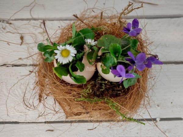 dekoracje naturalne fiołek Naturalna dekoracja Wielkanoc - gniazdko fiołek w wydmuszce