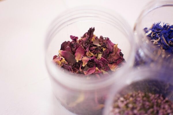 suszone zioła suszone zioła, płatki róż - zdjęcie do pobrania