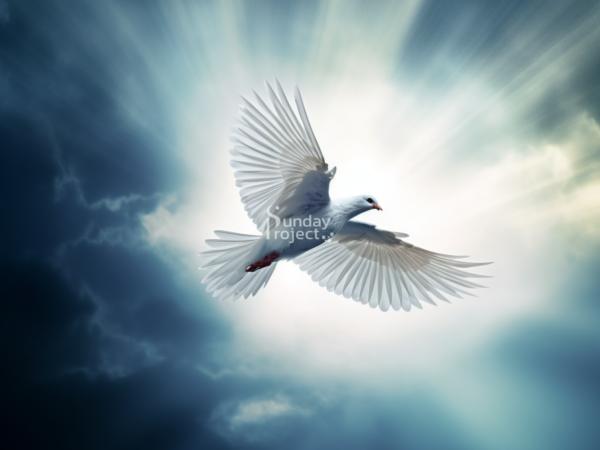 Duch św grafika Duch Święty grafika do pobrania bierzmowanie, gołąbek