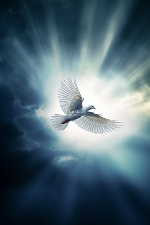 Duch św grafika Duch Święty grafika do pobrania bierzmowanie, gołąbek