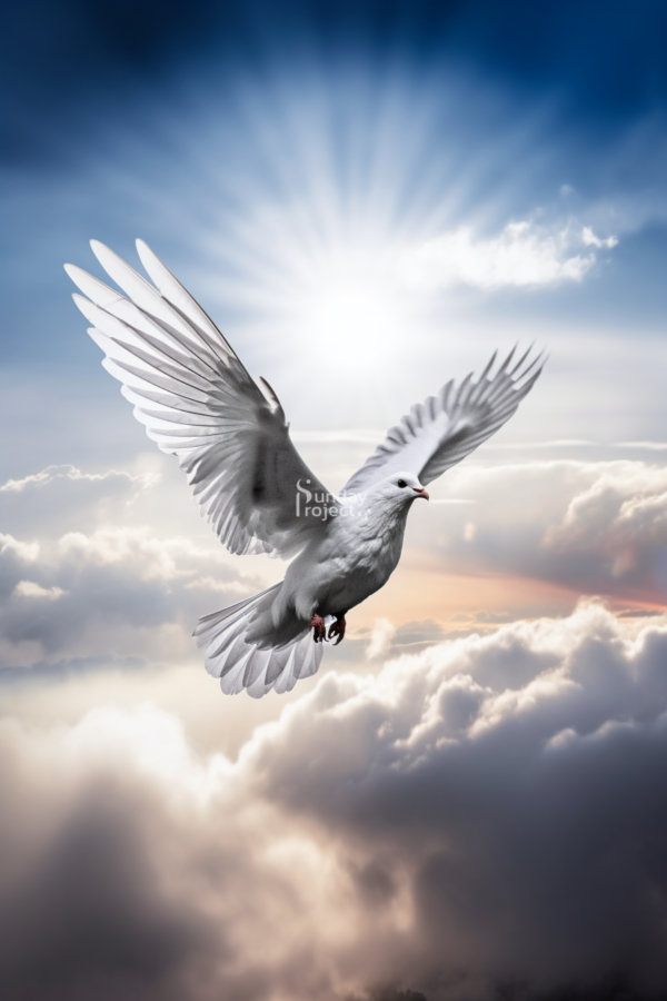 gołąb grafika Duch święty grafika do pobrania gołąbek, bierzmowanie