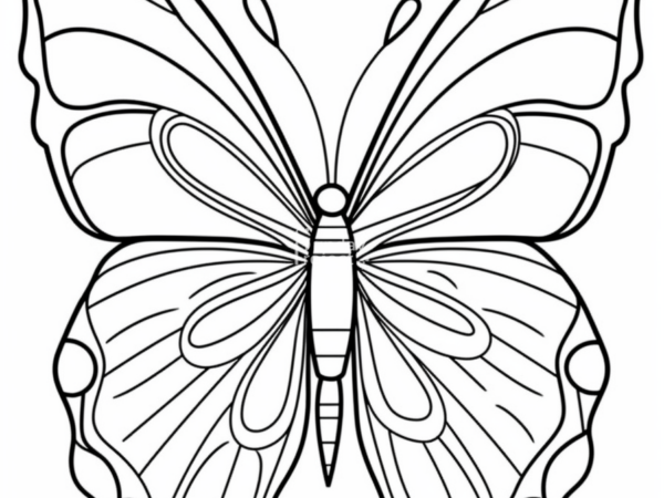 motyl kolorowanka dla dzieci owady zwierzęta kolorowanka dla dzieci do pobrania motyl